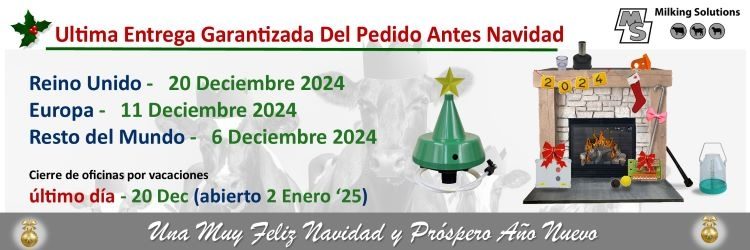 XMAS 2024 SPANISH